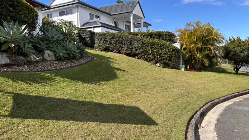 Mown front lawn and trimmed hedge at a rendered two-storey home