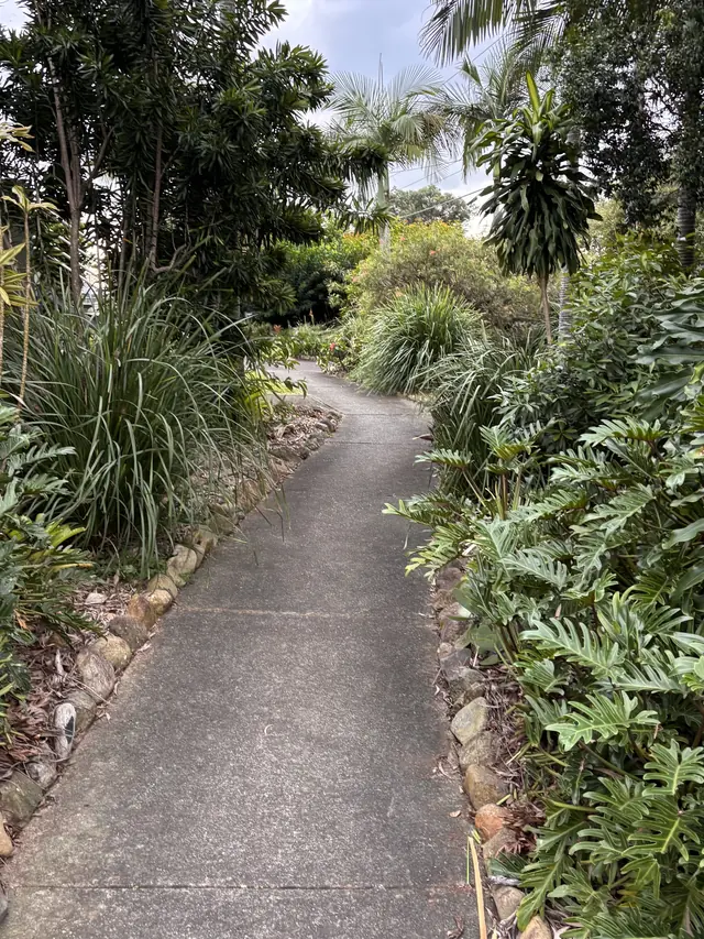 Subtropical planting and stone edging along a garden path