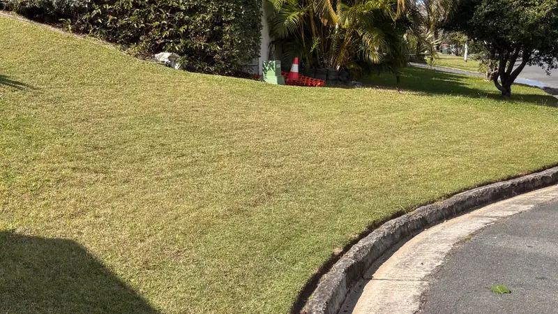 Lawn edged clean along the kerb and driveway