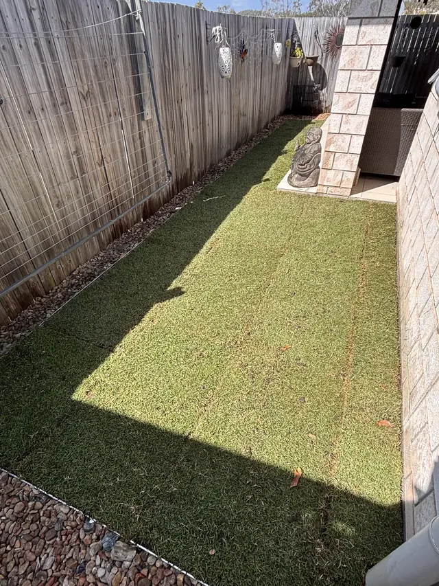 Freshly laid turf filling a narrow side yard